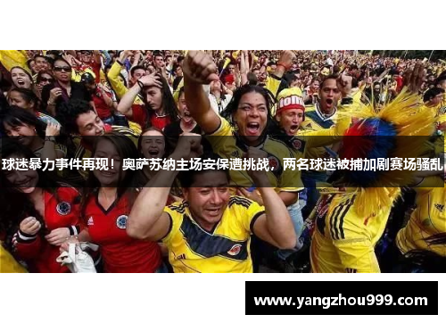 球迷暴力事件再现！奥萨苏纳主场安保遭挑战，两名球迷被捕加剧赛场骚乱